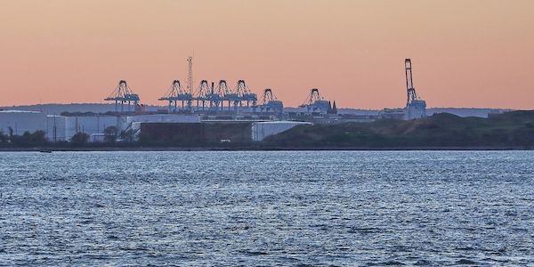 Ifo: Exporterwartungen abgestürzt