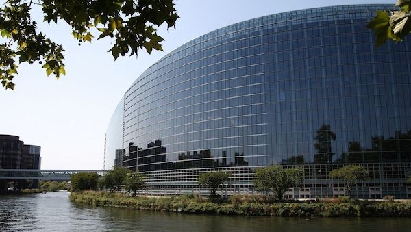 EU-Parlament stimmt für Abschwächung des Schutzes von Wölfen