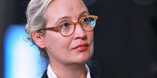 Staatsrechtler Boehme-Neßler: Stillhaltezusage bringt AfD Zeit