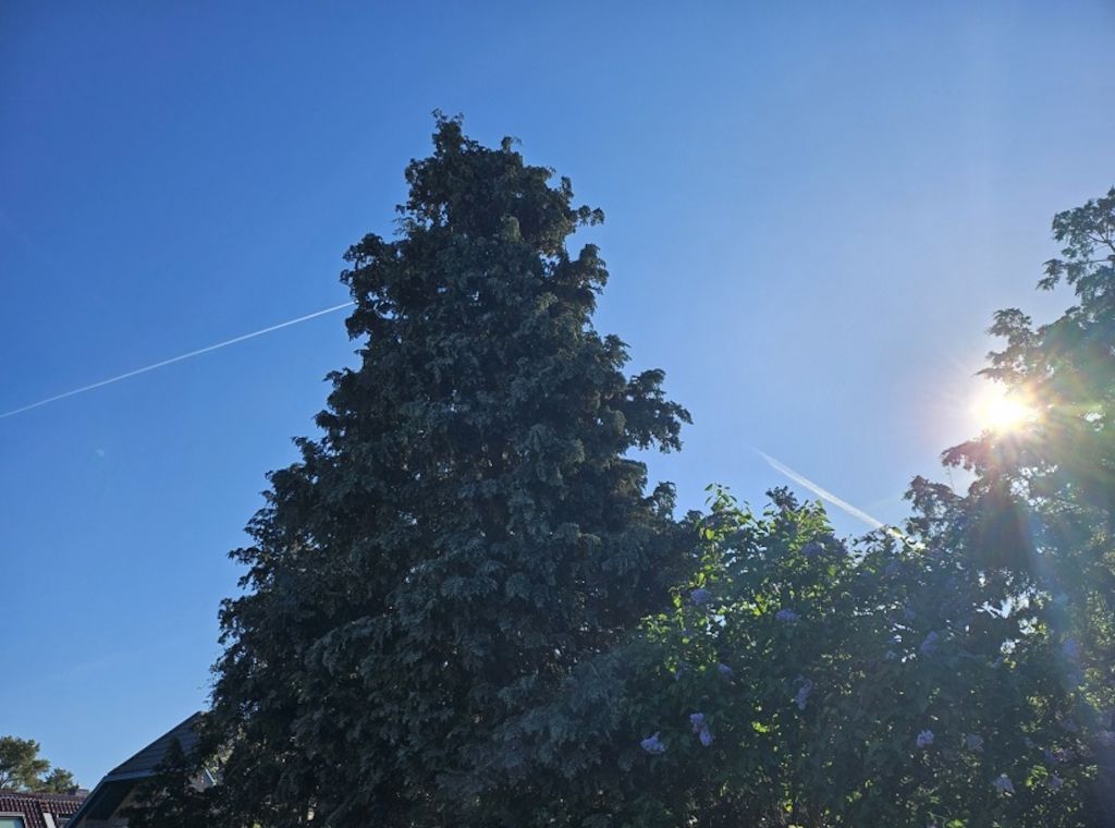 Wetterbericht für Baden-Württemberg (10.05.2025)