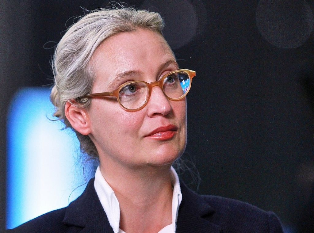 Staatsrechtler Boehme-Neßler: Stillhaltezusage bringt AfD Zeit