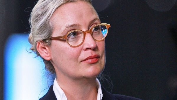 Staatsrechtler Boehme-Neßler: Stillhaltezusage bringt AfD Zeit