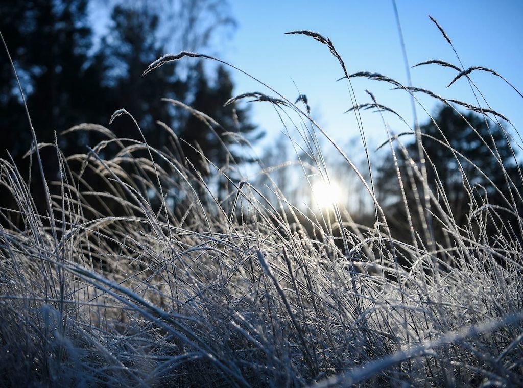 Deutsche Wetterdienst warnt vor Frost: Bis zu -9 Grad in Brandenburg