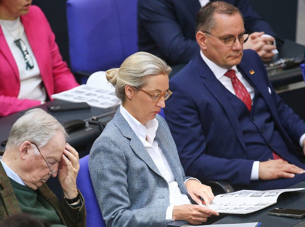 Grüne und Linke wollen AfD staatliche Gelder streichen