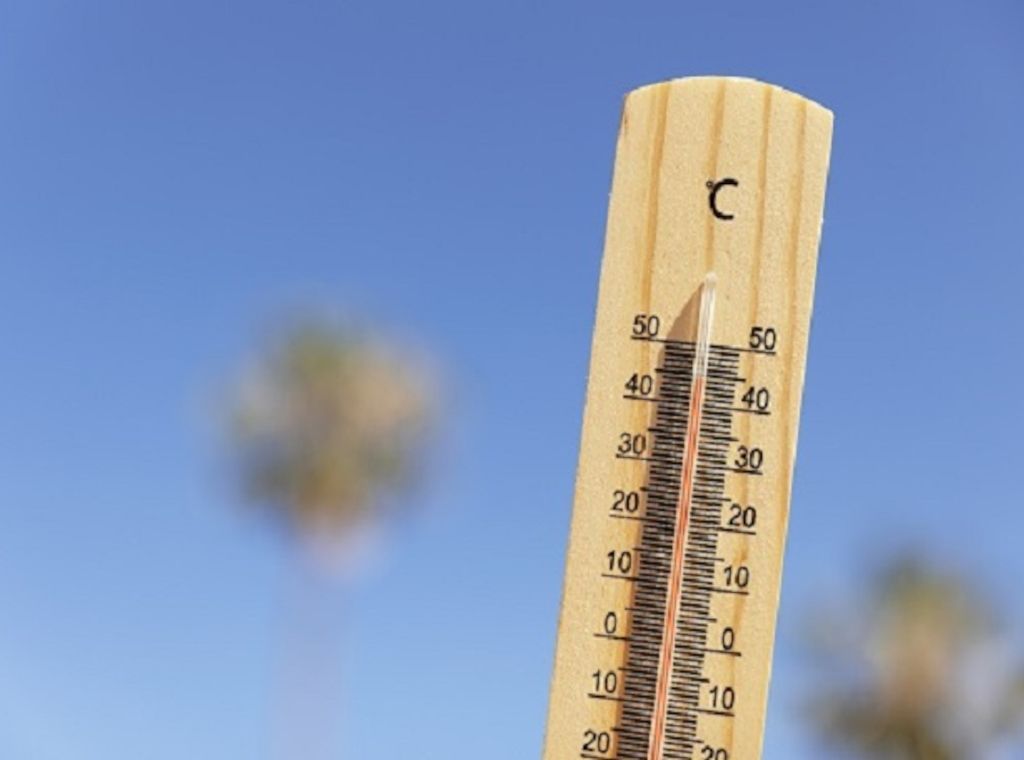 Sommer, Sonne, Ausnahmezustand? Die häufigsten Notfälle in der Hitzesaison