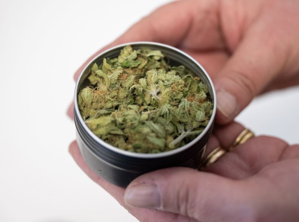 Cannabis-Club startet mit Ausgabe in Oranienburg