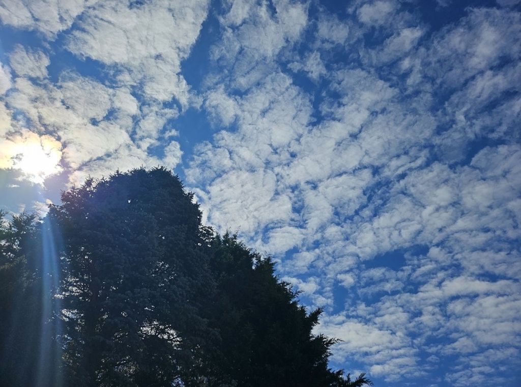 Wetterbericht für Berlin/Brandenburg (17.05.2025)