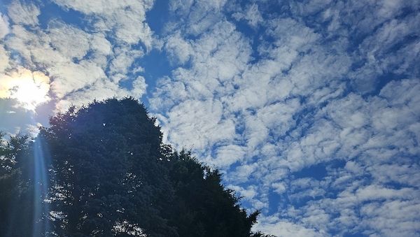 Wetterbericht für Berlin/Brandenburg (17.05.2025)