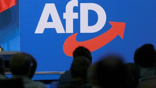 Bundesländer erwägen Entwaffnung von AfD-Mitgliedern