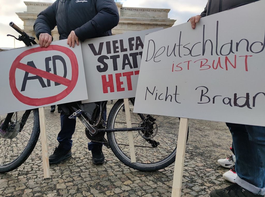 Grüne beharren weiter auf Verbotsverfahren gegen AfD