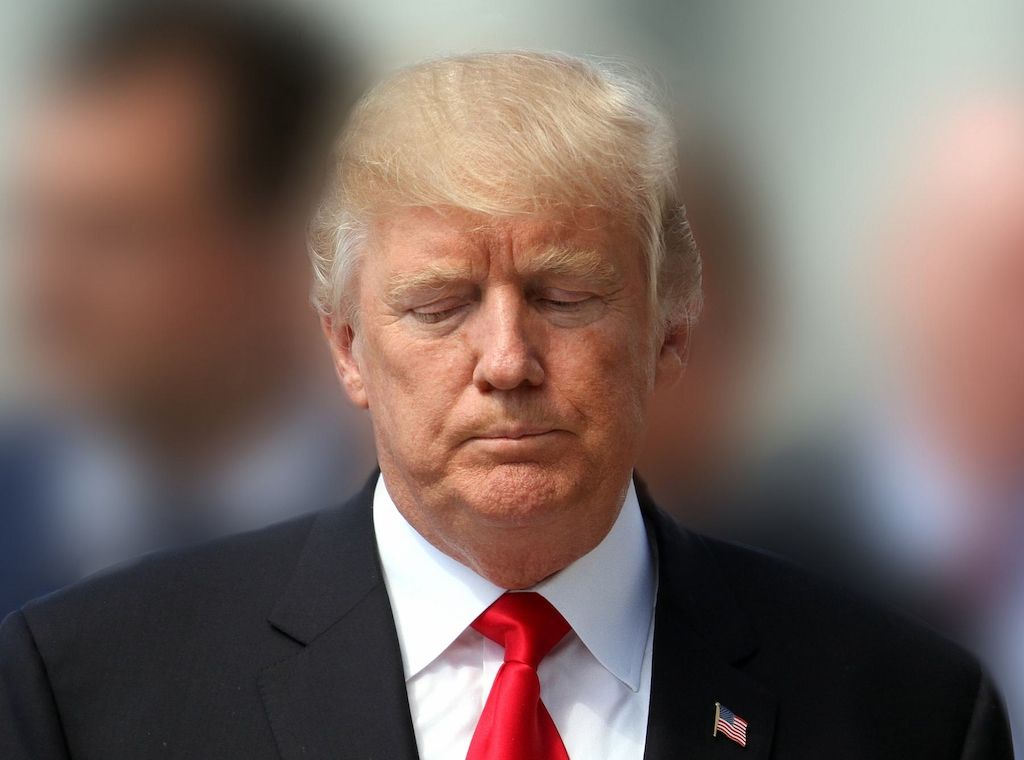 Hofreiter nennt Trump "Faschist und Naivling"