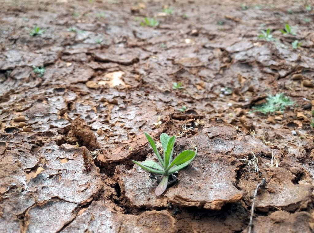 SPD kritisiert Verzögerung beim Klimaanpassungsgesetz in NRW