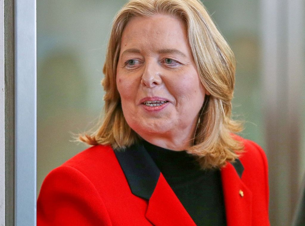 Bas deutet Interesse an SPD-Vorsitzposten an