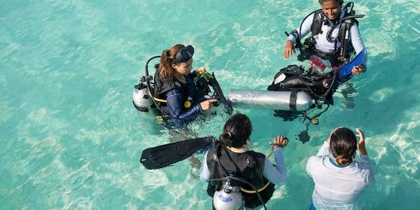 Nova Maldives lockt mit 30 Tauchspots   Entdecke die majestätischen Meeresbewohner des Süd Ari Atolls