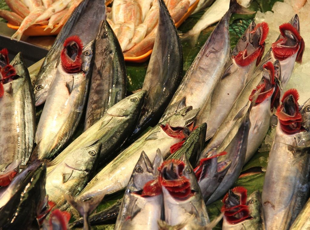 Fischerzeugung in Aquakulturbetrieben leicht gesunken