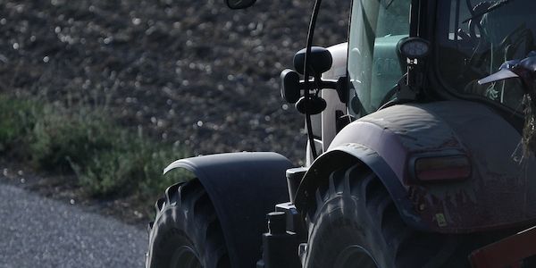 Bauernpräsident schlägt wegen Schädling Alarm