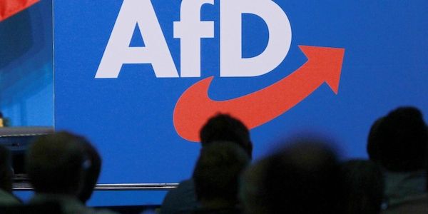 Bundesländer erwägen Entwaffnung von AfD-Mitgliedern