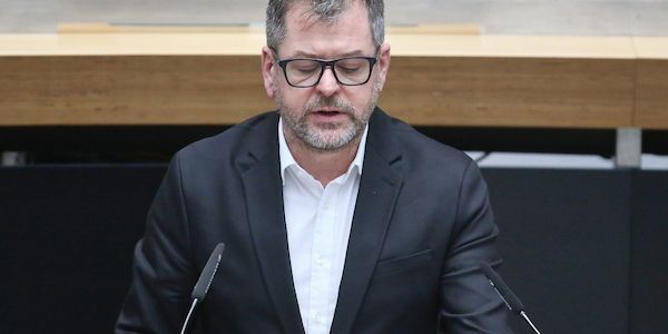 Grüne lehnen Holzkraftwerke für Berlin ab