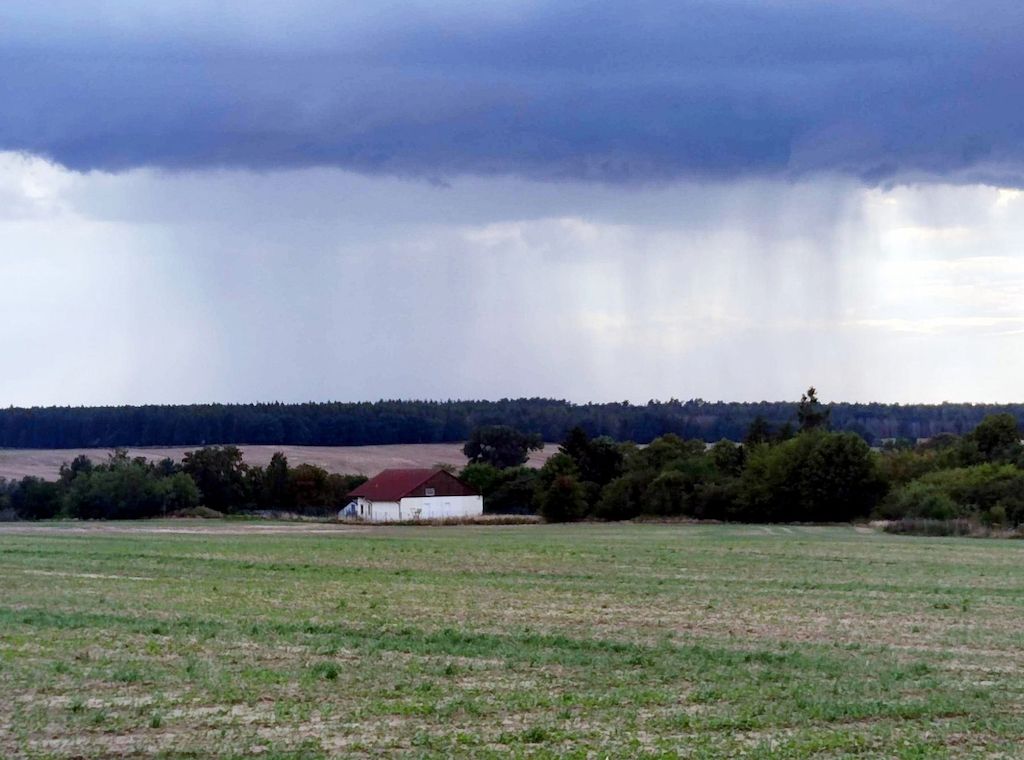 Wetterbericht für Niedersachsen/Bremen (01.06.2025)