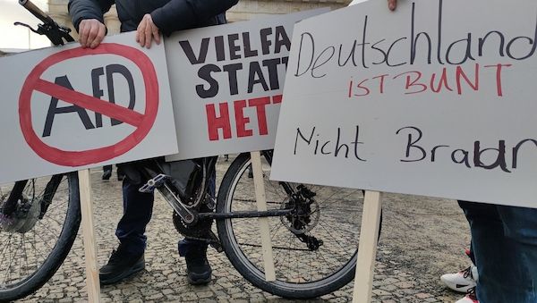Grüne beharren weiter auf Verbotsverfahren gegen AfD