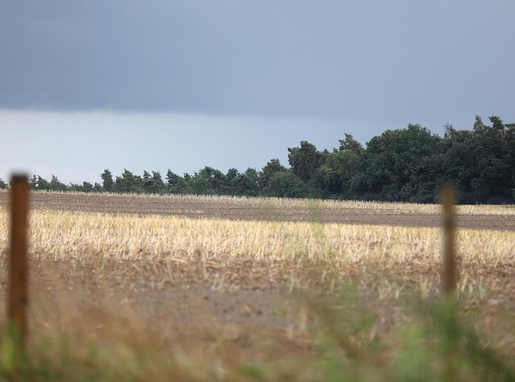 Wetterbericht für Niedersachsen/Bremen (04.06.2025)