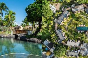 Coolcation in den Pulse Hotels & Resorts oder dem Hilton Mauritius Bild 3