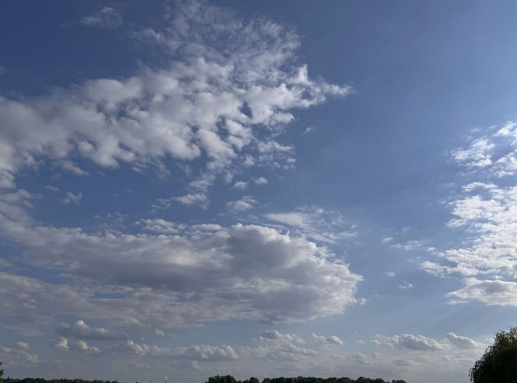 Wetterbericht für Schleswig-Holstein/Hamburg (05.06.2025)