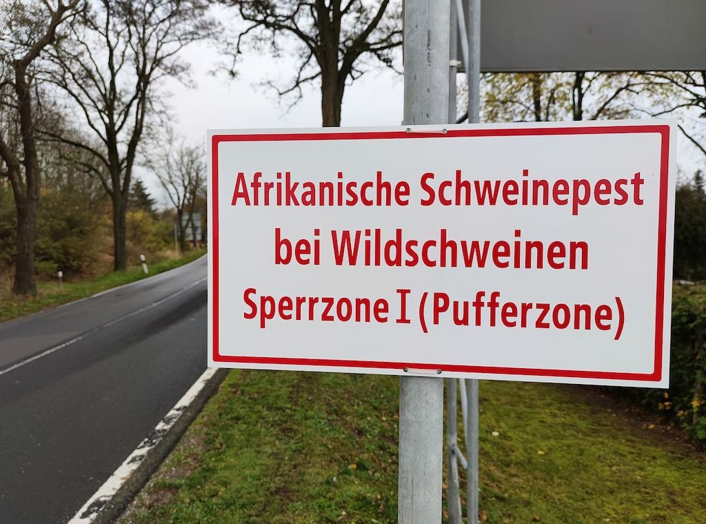 Weitere Schweinepest-Verdachtsfälle in NRW