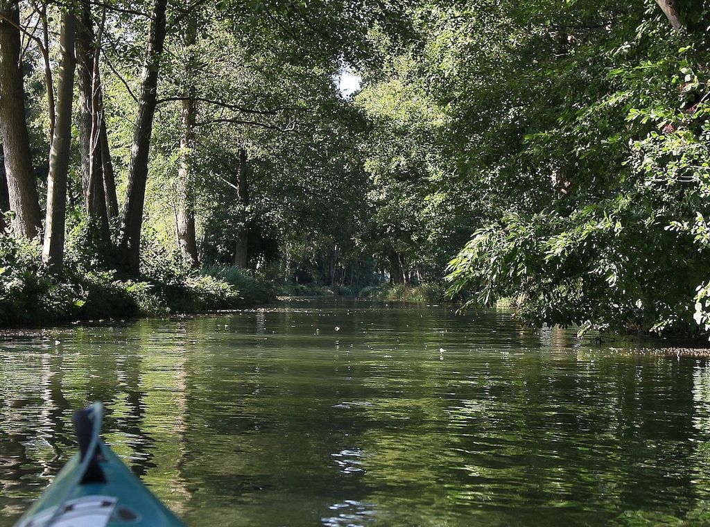 Niedrigwasser in Spree und Schwarzer Elster erreicht kritische Werte