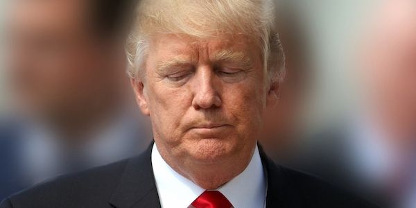 Hofreiter nennt Trump "Faschist und Naivling"