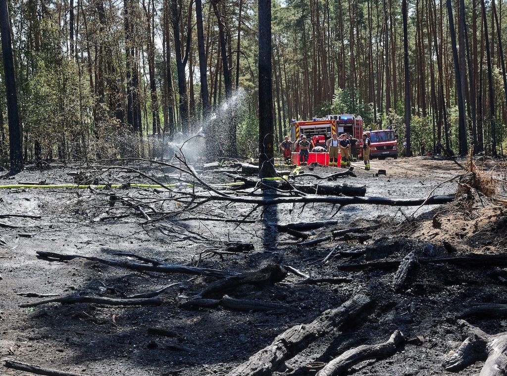 Zahlreiche Brände in Brandenburg - Feuer nahe dem Flughafen