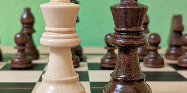 Harvard-Ökonom Rogoff unterhielt sich mit Merkel über Schach