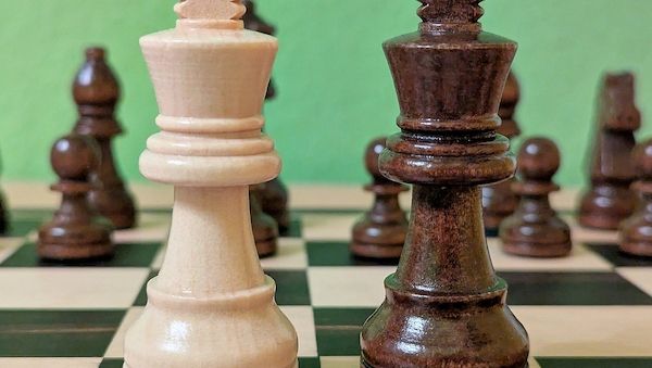 Harvard-Ökonom Rogoff unterhielt sich mit Merkel über Schach