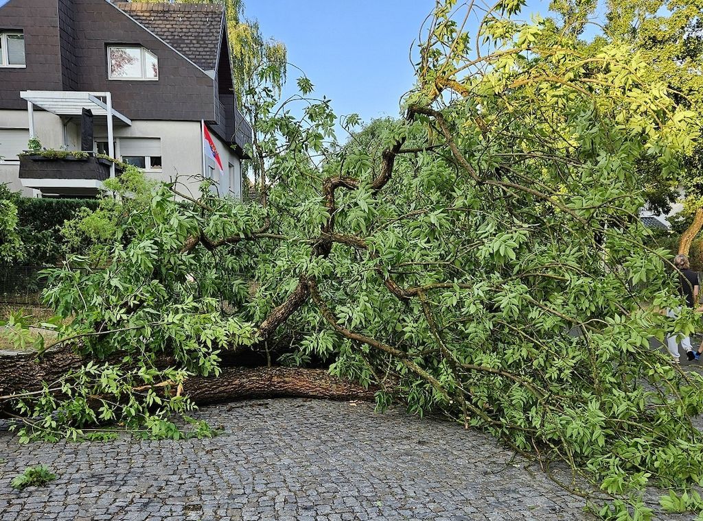 Spandau, Heiligensee und Tegel waren vom Unwetter besonders betroffen