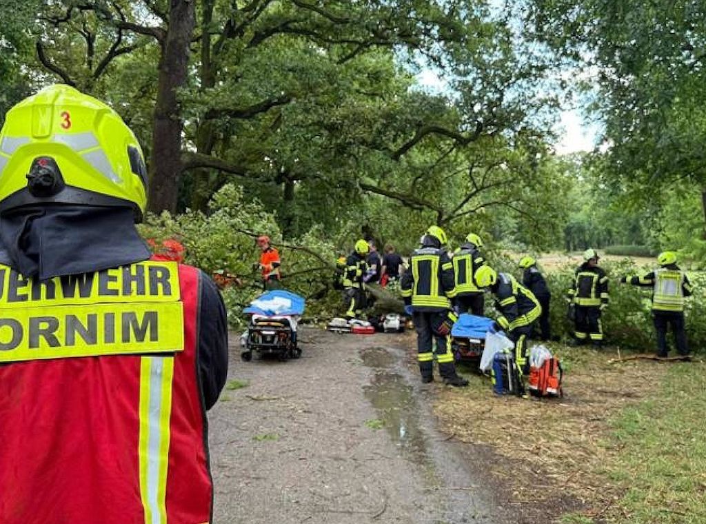 Schweres Unwetter in Potsdam verletzt zwei Personen durch Baumsturz