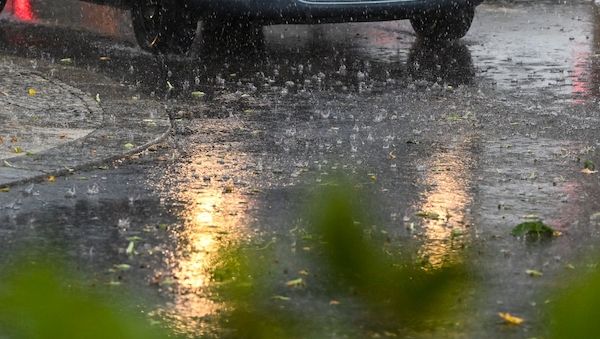 Potsdam: Baumkrone stürzt auf Menschen