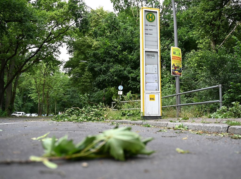 Nach dem Unwetter: Spandauer Forst ist gesperrt