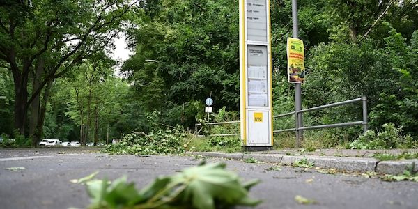 Nach dem Unwetter: Spandauer Forst ist gesperrt