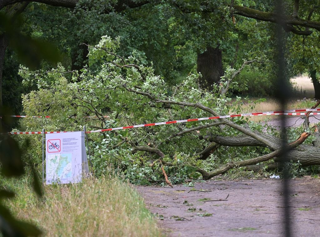 Bestandsaufnahme nach Sturm: Schwere Schäden in Brandenburg
