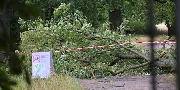 Bestandsaufnahme nach Sturm: Schwere Schäden in Brandenburg