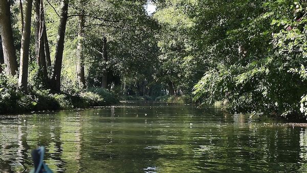 Grüne fordern Reform der Wasserentnahmeentgelte in Brandenburg