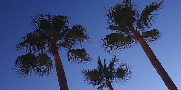 Experten - Was Reisende vor den Sommerferien wissen sollten