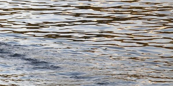 Köln verbietet Wasserentnahme aus Bächen wegen Trockenheit