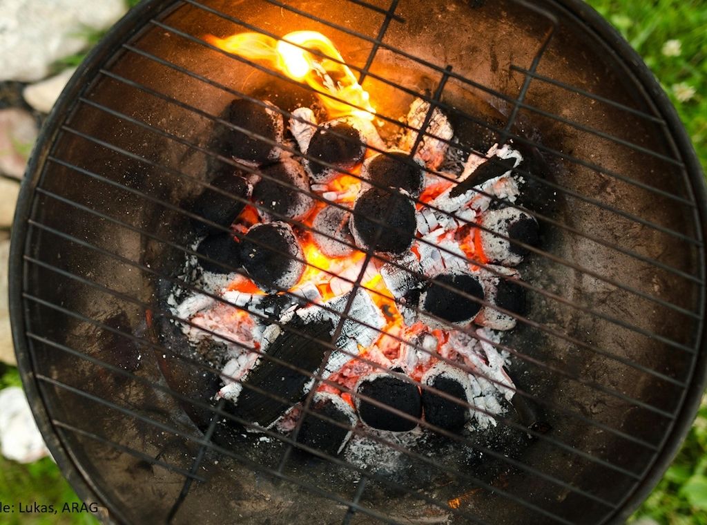Experten informieren über die wichtigsten Regeln zum Thema Grillen