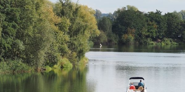 Schwimmerin stirbt in See bei Werder