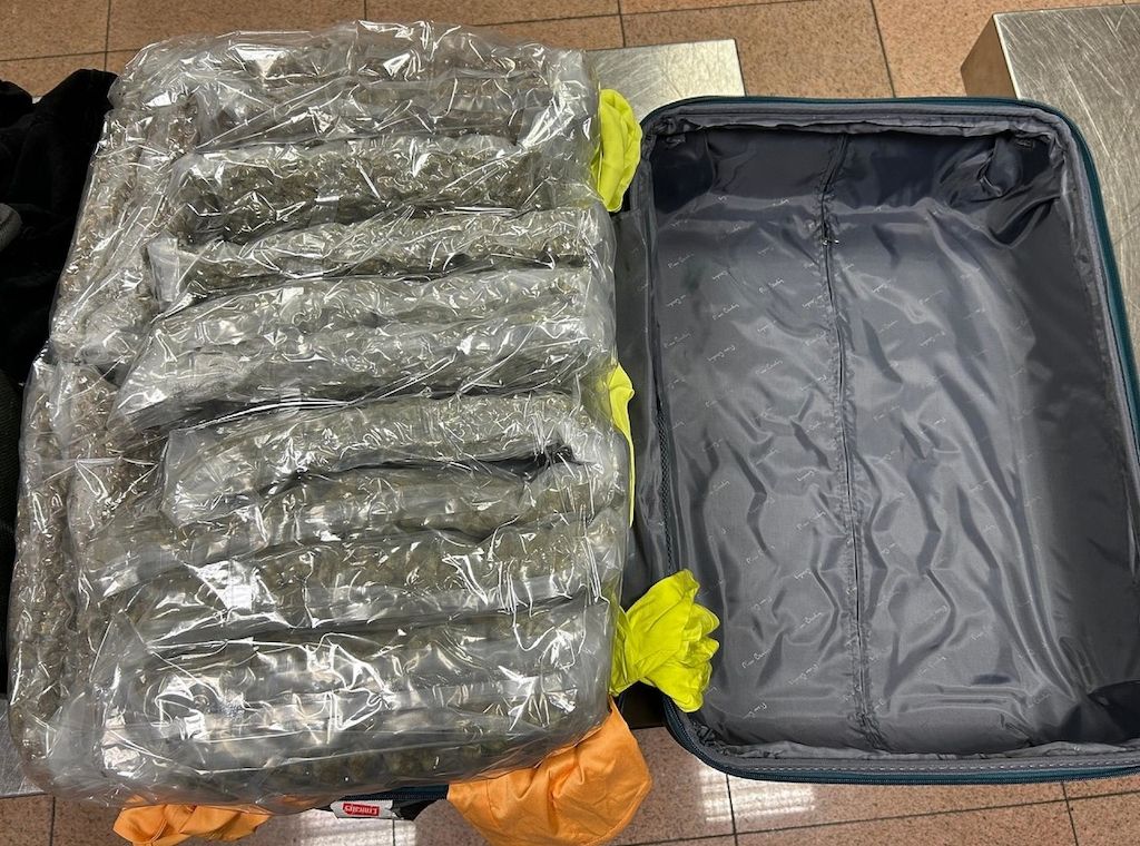 Zoll verhindert Schmuggel von 90 Kilogramm Marihuana am Hamburger Flughafen