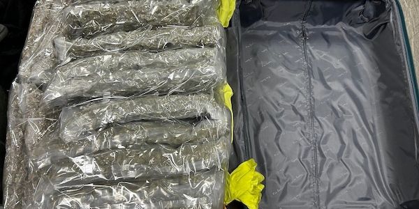 Zoll verhindert Schmuggel von 90 Kilogramm Marihuana am Hamburger Flughafen