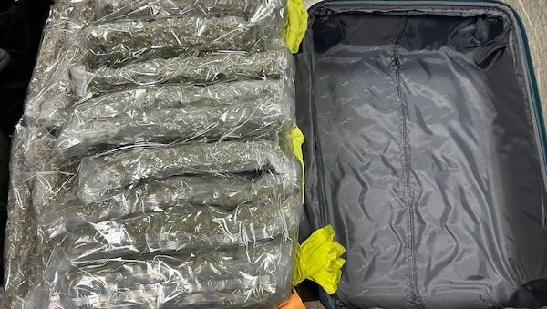 Zoll verhindert Schmuggel von 90 Kilogramm Marihuana am Hamburger Flughafen