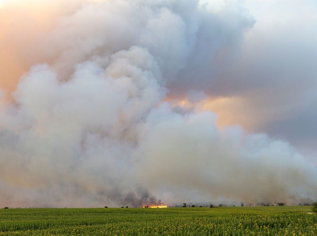 Waldbrand in der Gohrischheide ist weiterhin nicht unter Kontrolle