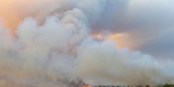 Waldbrand in der Gohrischheide ist weiterhin nicht unter Kontrolle